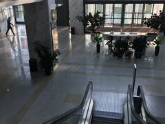 -上海市第六人民医院(临港院区)