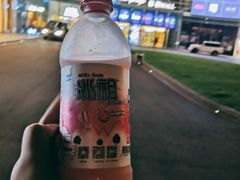 -棕榈MALL
