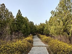 -百泉景区