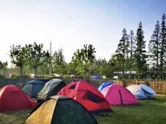 -前小桔亲子创意农场·草莓采摘·露营烧烤