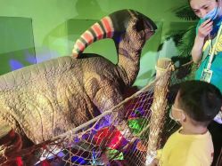 点击看大图 -恐龙探索乐园(磁器口店)