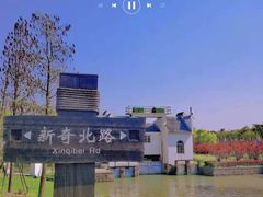 -广富林郊野公园