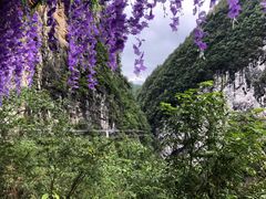 -蝶舞清江·恩施地心谷景区