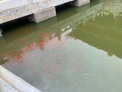 -北京国子监胡同