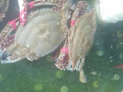 -雅逸居海鲜小厨