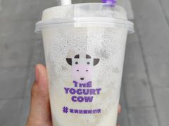 -一只酸奶牛(曲江龙湖星悦荟店)