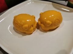 芒果小金猪-海底捞火锅(公益西桥店)