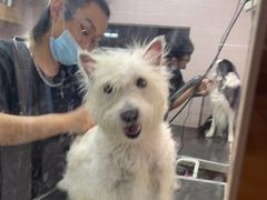 -FAELING PETS美天灵宠物(富力广场店)