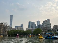 -团结湖公园