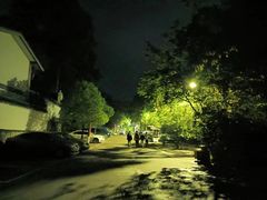 -缙云山景区