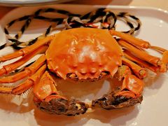 -杨氏青龙虾·羊蝎子(珠江路店)