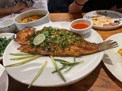 -一坐一忘云南菜(三里屯店)
