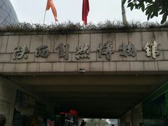 -陕西自然博物馆