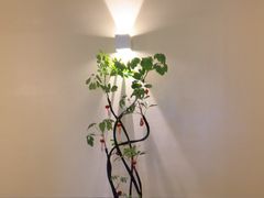 -涟LIAN·泰式按摩·MASSAGE·SPA(深业上城店)