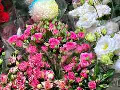 -平吉花卉市场