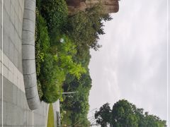 -昆山城市生态森林公园