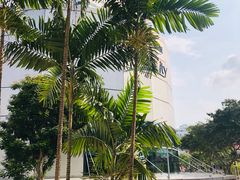 -Long Bar(莱佛士酒店)