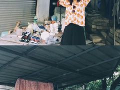 -三圣花乡旅游区