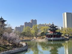 -迎泽公园