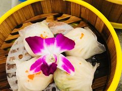 -卡尔顿东方银龙酒店•广西菜•早茶