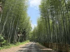 -黄公望隐居地