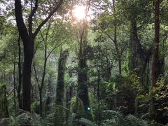 -滴水岩森林公园