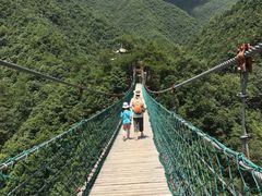 -遂昌金矿国家矿山公园