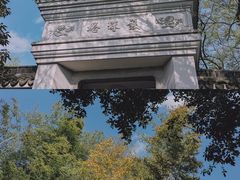 -上海佘山国家森林公园天马山园