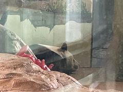 -南昌动物园