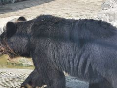 -黔灵山公园