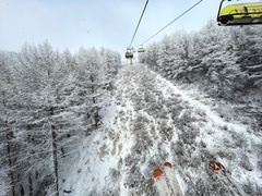 -密苑云顶乐园(云顶滑雪场)