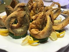 -金星大酒店(东街店)