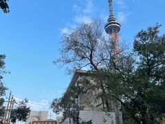 -湖南广播电视台娱乐频道