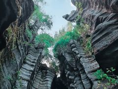 -梭布垭石林景区