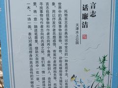 -天津水上公园