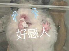 -Tiffany & Co.蒂芙尼
(天津万象城店)