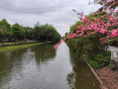 -顺峰山公园