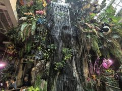 -正佳雨林生态植物园