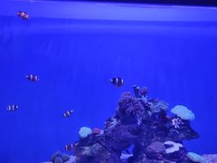 -广州海洋馆