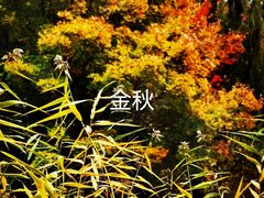 -北宫国家森林公园