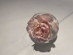 -眉州东坡(石景山店)