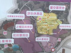 -紫颐香薰山谷景区