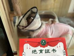 -派特宠物医院(圆融广场店)