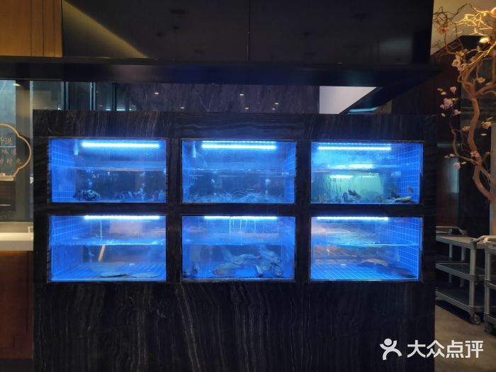 院里寻菜·精致庭院菜(观沙岭店)图片