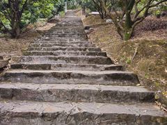 -风云岭森林公园