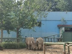 -秦皇岛野生动物园