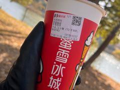 -蜜雪冰城(托乐嘉店)