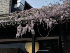 -老门东历史文化街区