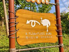 -深圳野生动物园