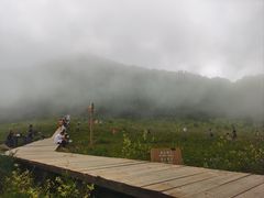 -白草畔自然风景区